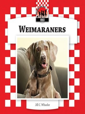 cover image of Weimaraners